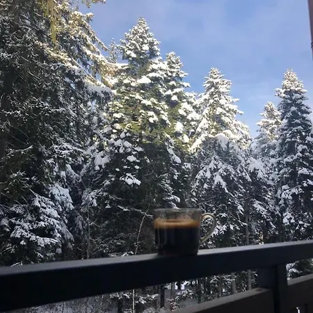 アパート Gardens A12 ボロヴェッツ