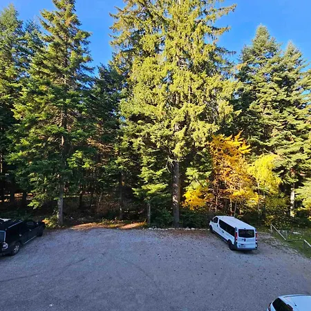 Apartman Gardens A12