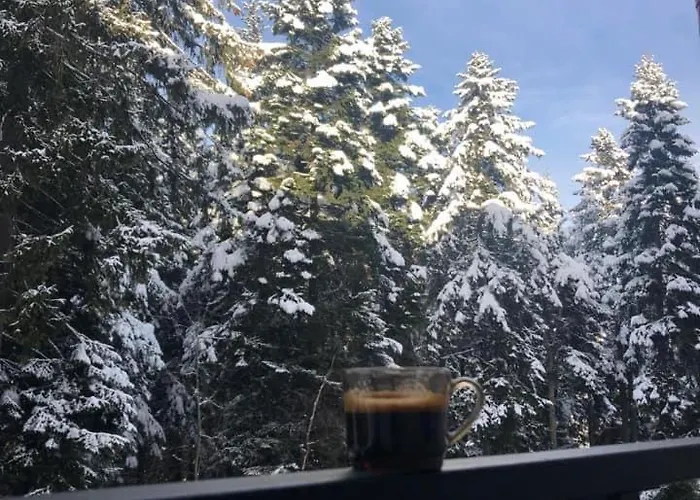 شقة Gardens A12 بوروفتس